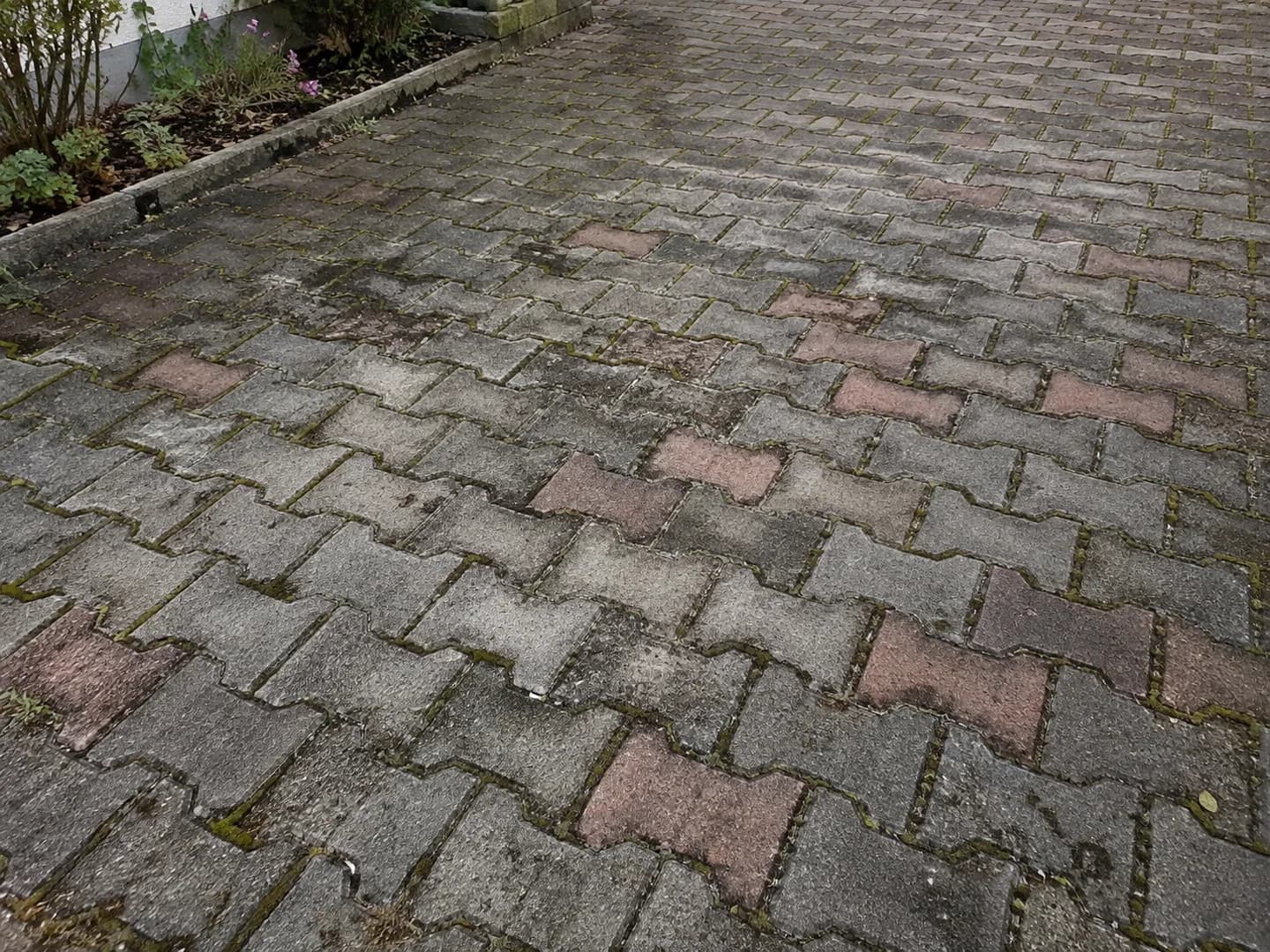 Mohás és szennyezett kültéri térkő a tisztítás megkezdése előtt